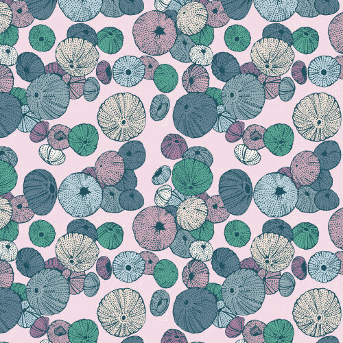 Sea Urchin in Light Pink/Multi from Seashell Serenade for Cloud9 Fabrics (Avail Jan)